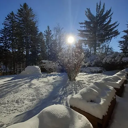 Apartment Przy Swierku *