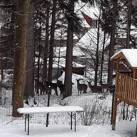 Apartment Przy Swierku Schreiberhau