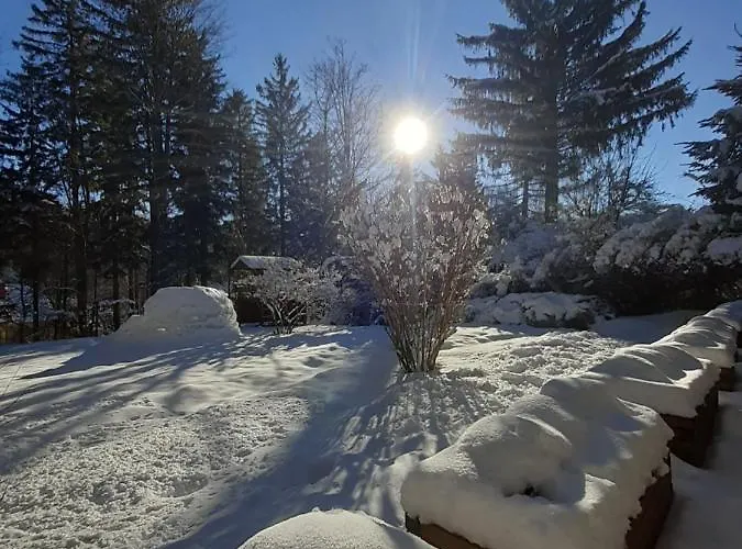 Apartment Przy Swierku *